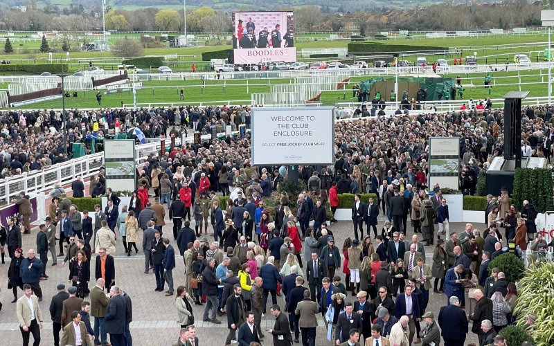 Full House at Cheltenham Festival