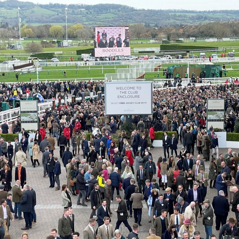 Full House at Cheltenham Festival