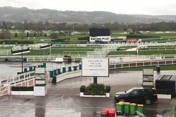 Trotter Temporary Signage - Events - Cheltenham Races